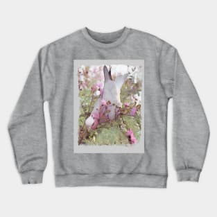 Galah, Australia. Crewneck Sweatshirt